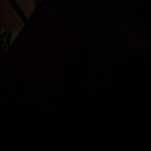 Meet your Posher, Sylvia